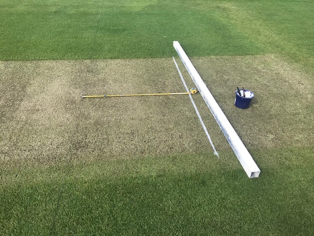 cricket ground grass