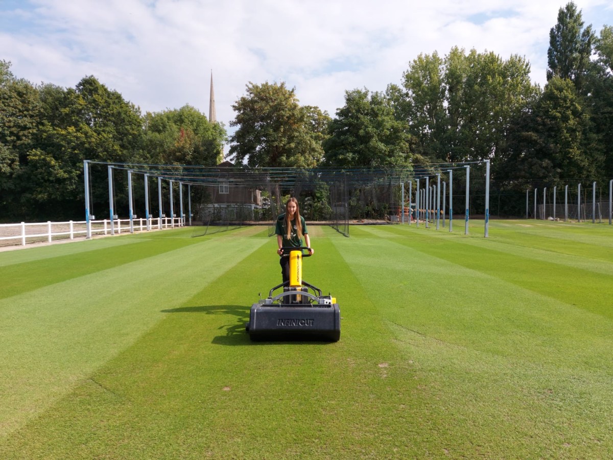 How to PreGerminate Grass Seed in 4 Steps Turfcareblog